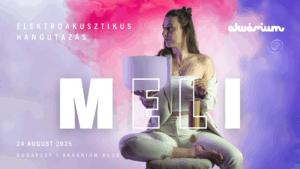 Elektroakusztikus hangutazás