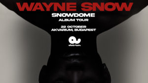 Wayne Snow – Snowdome Tour