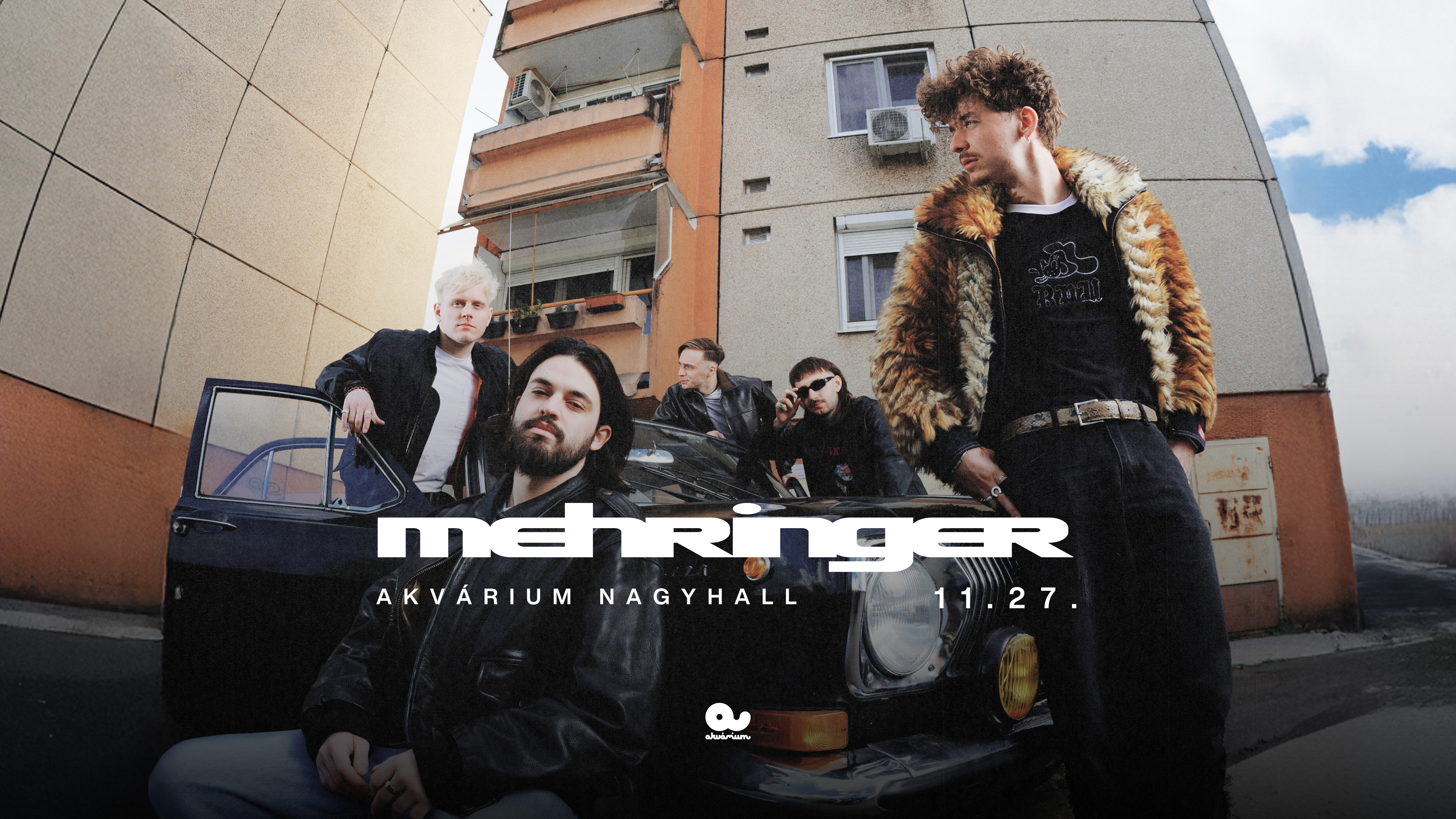 MEHRINGER