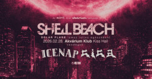 Shell Beach – ICENAP – Cica