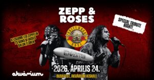 Zepp & Roses Special Tribute Night