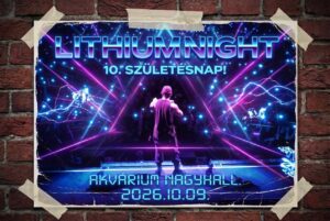 LITHIUM NIGHT // 10. SZÜLINAPI GIGAPARTY