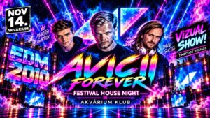 EDM 2010 x AVICII FOREVER PARTY